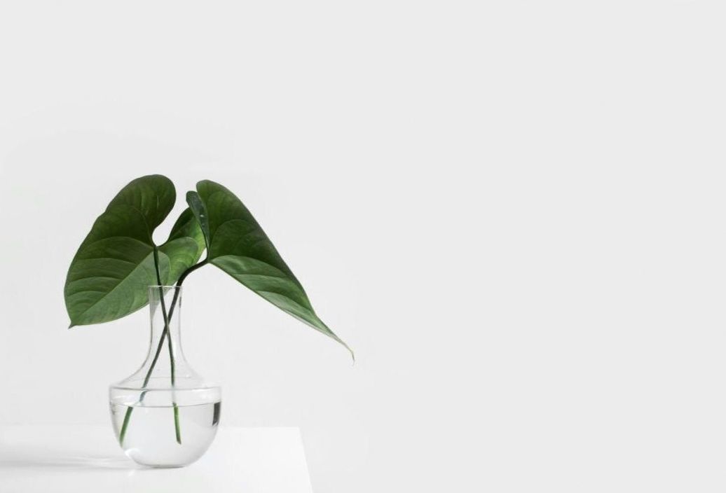 Design web e UX